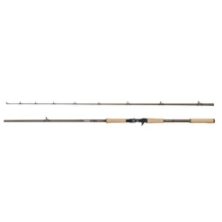 Abu Garcia Beast Pro2 (Casting)