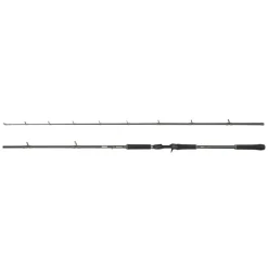 Abu Garcia Beast X2 (Casting)