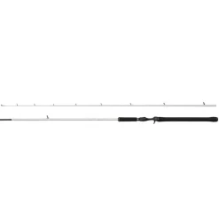 Abu Garcia Beast X2 Trolling (Casting)