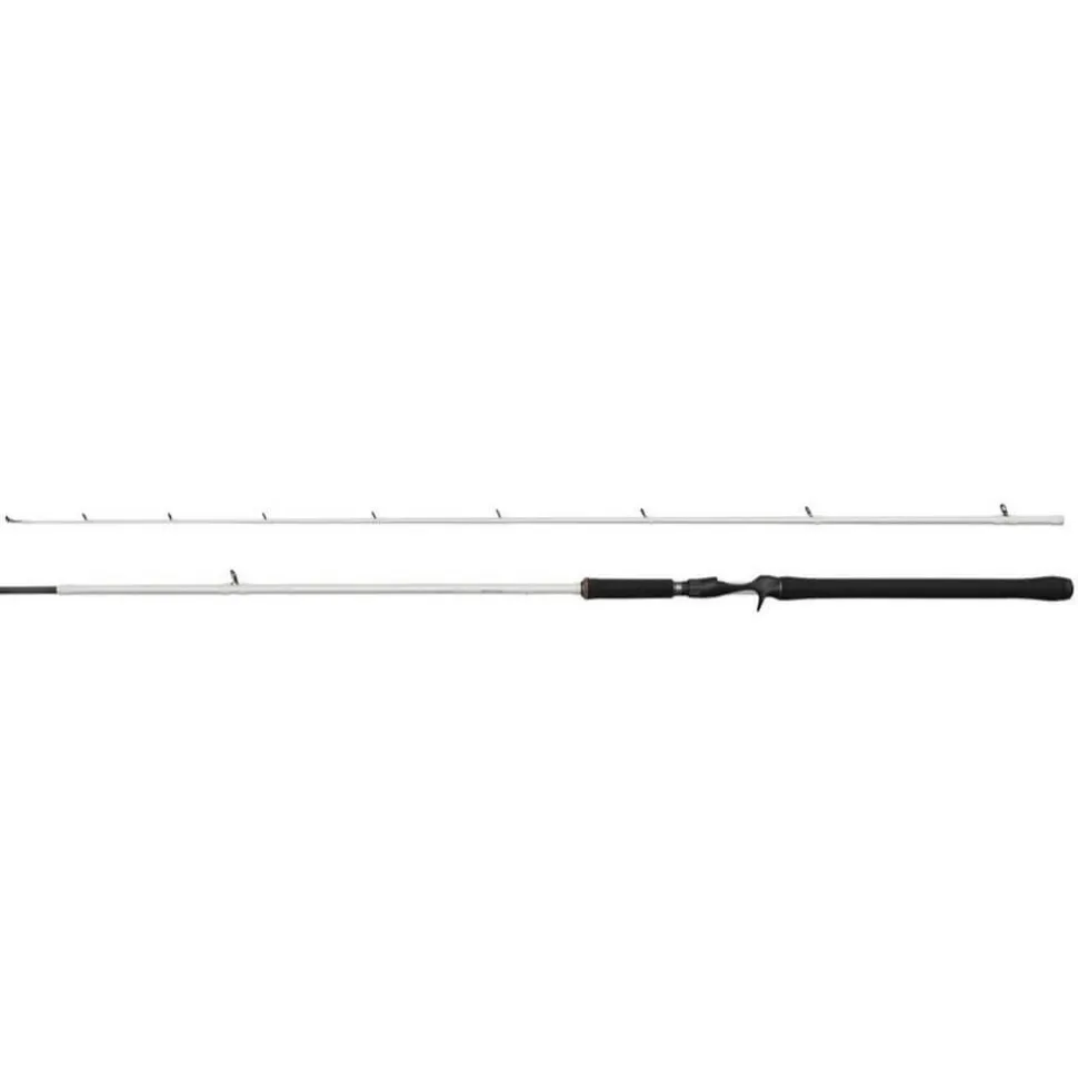 Abu Garcia Beast X2 Trolling (Casting)