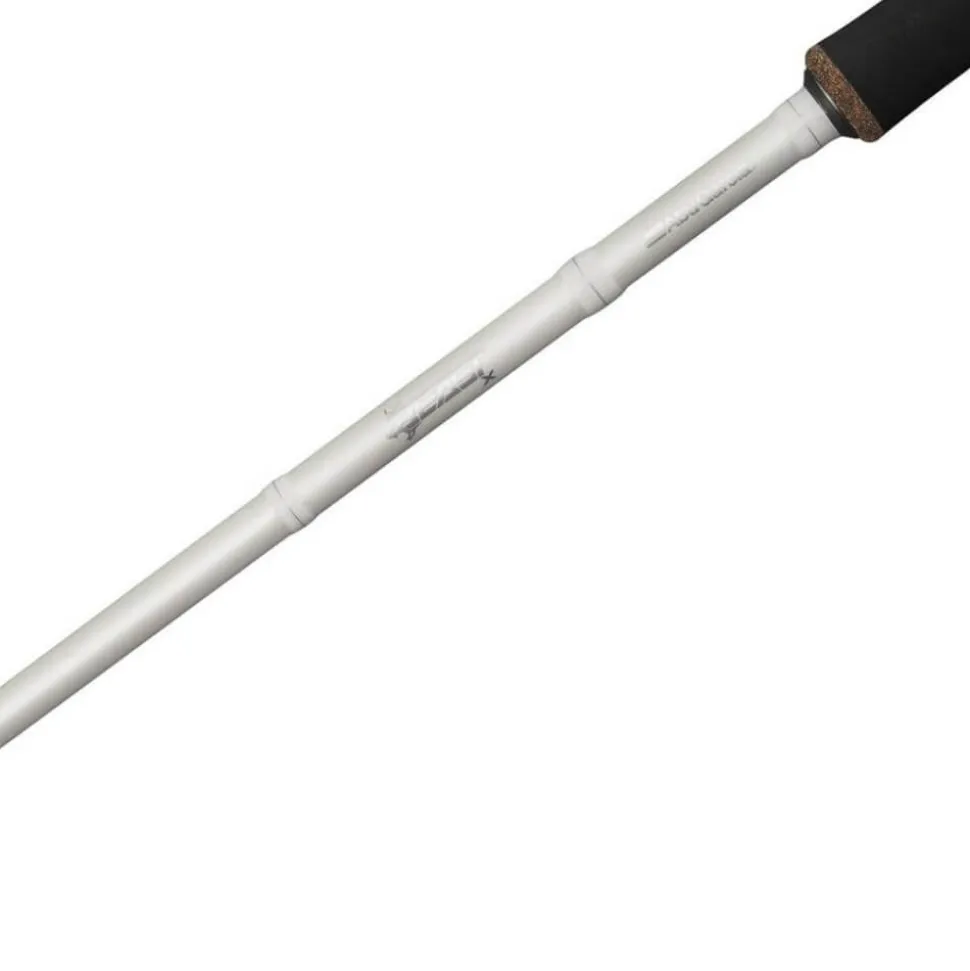 Abu Garcia Beast X2 Trolling (Casting)