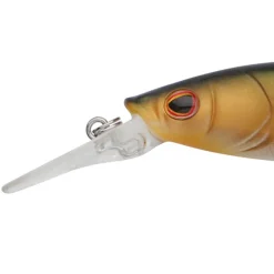 Berkley DEX Stunna Plus 1