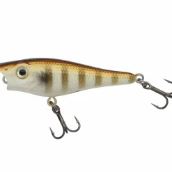 Berkley Pulse Pop 50