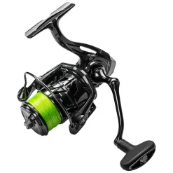 Big L Solution Start Combo Zander