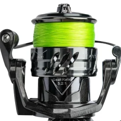Big L Solution Start Combo Perch
