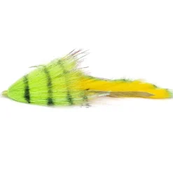 BIM Tackle Chacha Bait Trailer