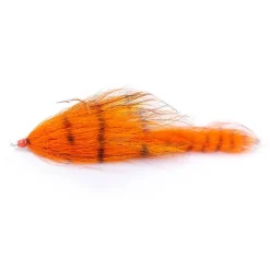 BIM Tackle Chacha Bait Trailer