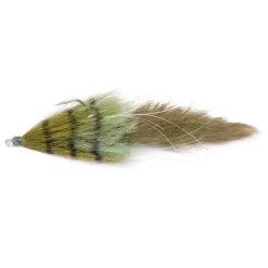 BIM Tackle Chacha Bait Trailer