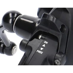 Daiwa 19 Black Widow BR LT
