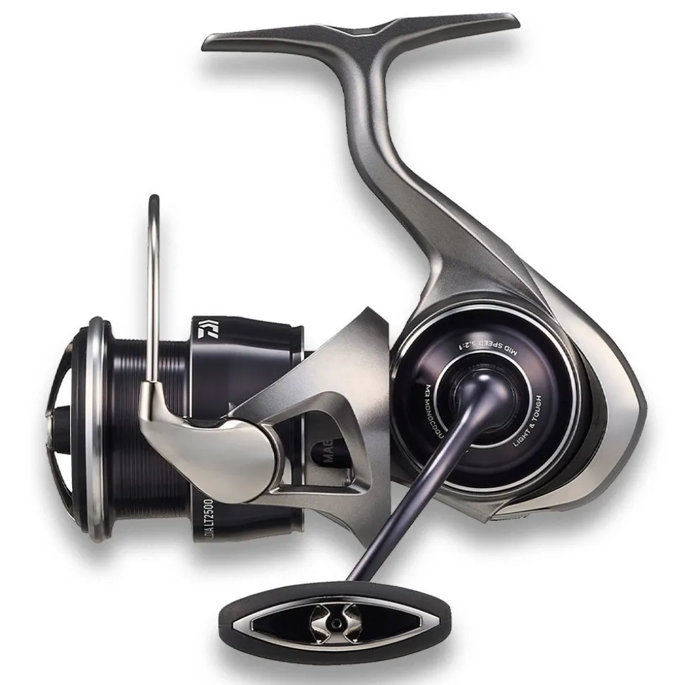 Daiwa 25 Caldia