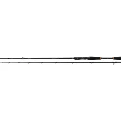 Daiwa 24 Prorex XR BC