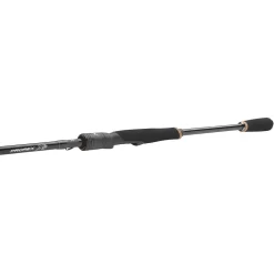 Daiwa 24 Prorex XR Spin
