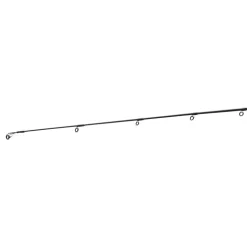 Daiwa 24 Prorex XR Spin