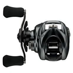 Daiwa 24 Tatula SV TW 100