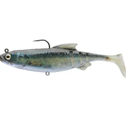 Daiwa Prorex Lazy Roach RD