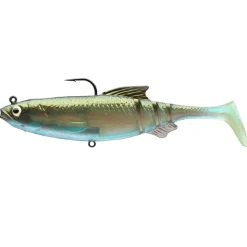Daiwa Prorex Lazy Roach RD