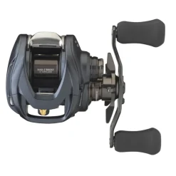 Daiwa Steez A II TW