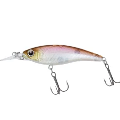 Daiwa Steez Shad 60SP