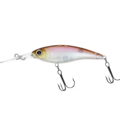 Daiwa Steez Shad 60SP