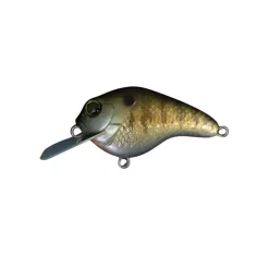 Dranckrazy Gillbokkuri