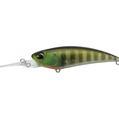 DUO Realis Shad MR SP