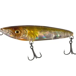 Fishus Espetit