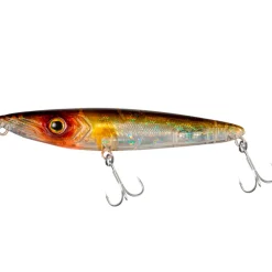Fishus Espetit