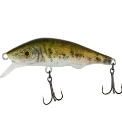 Fishus Espetit Jerk SK (Silent)