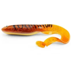 Gator Catfish