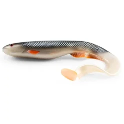 Gator Catfish