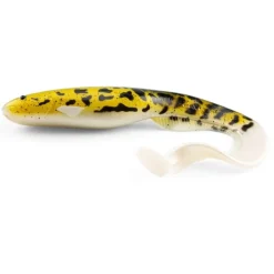 Gator Catfish