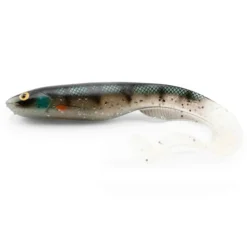 Gator Catfish