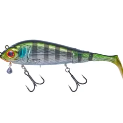 Gunki Grouper