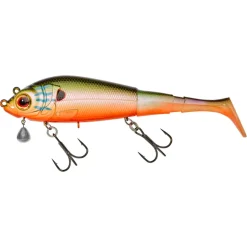 Gunki Grouper