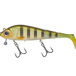 Gunki Grouper
