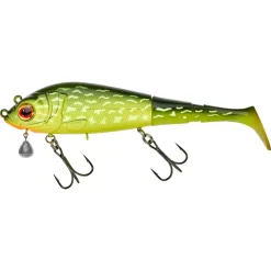 Gunki Grouper