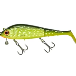 Gunki Grouper