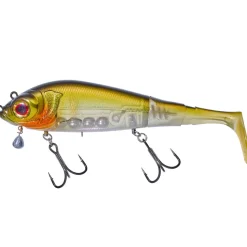 Gunki Grouper