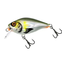 Hybrida C4BT (Crank For Big Tank)
