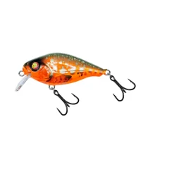 Hybrida C4BT (Crank For Big Tank)