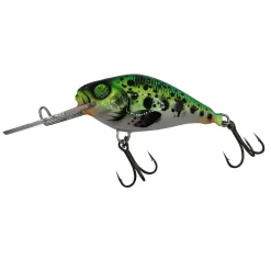 Hybrida C4BT (Crank For Big Tank)