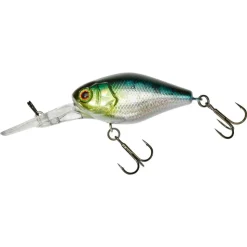 Jackall Chubby 41 DR