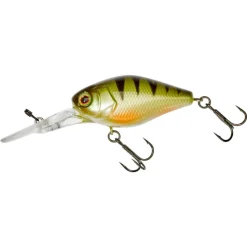 Jackall Chubby 41 DR