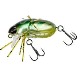 Jackall Chubby Bug 35
