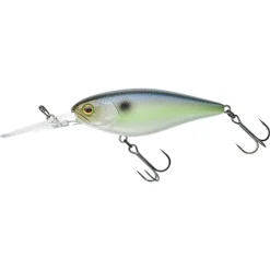 Jackall Flat DD Squirrel 79 SP