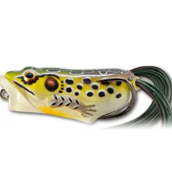Live Target Hollow Body Frog Popper