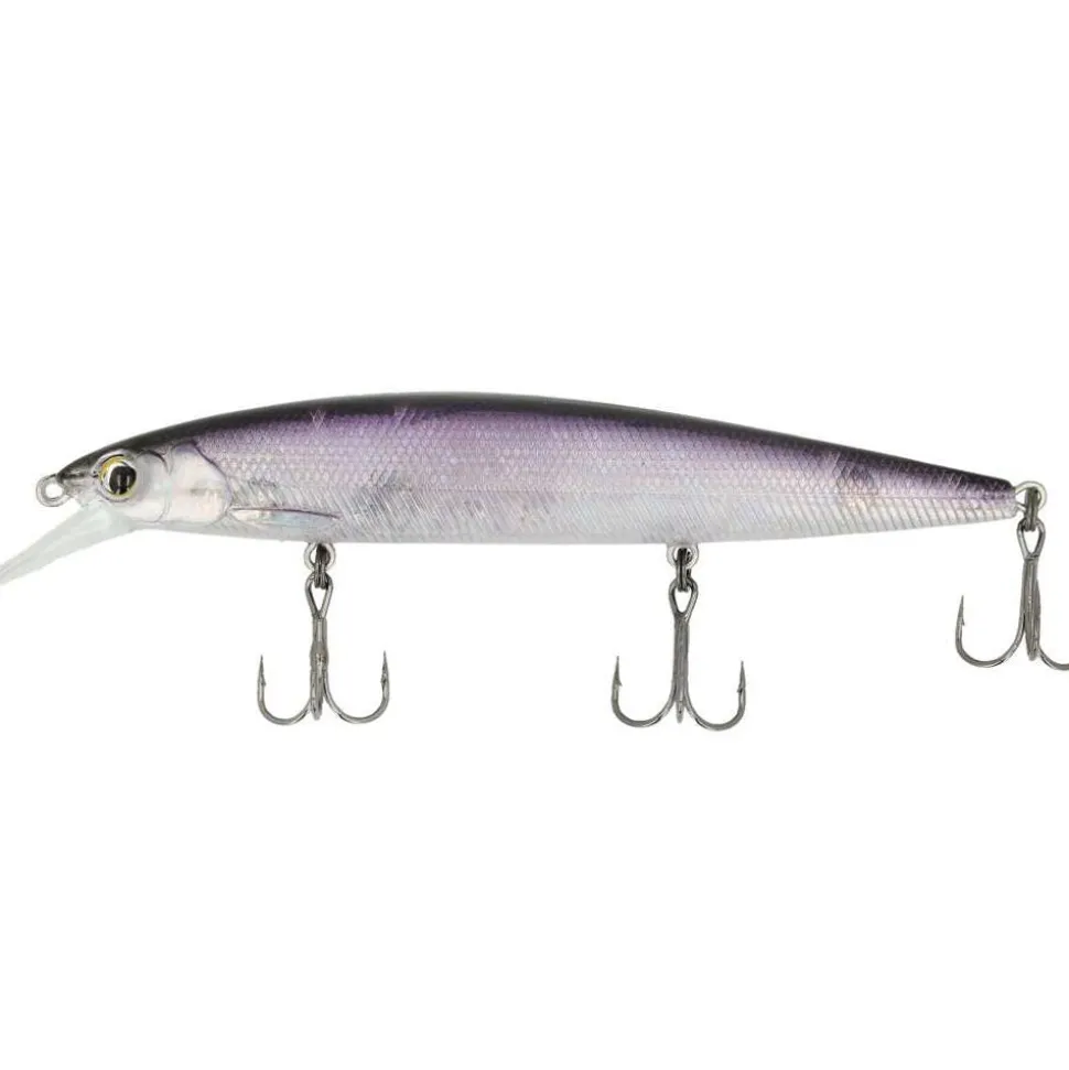 Major Craft Ceana Jerkbait / Shallow