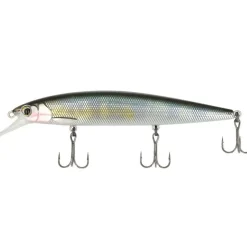 Major Craft Ceana Jerkbait / Shallow
