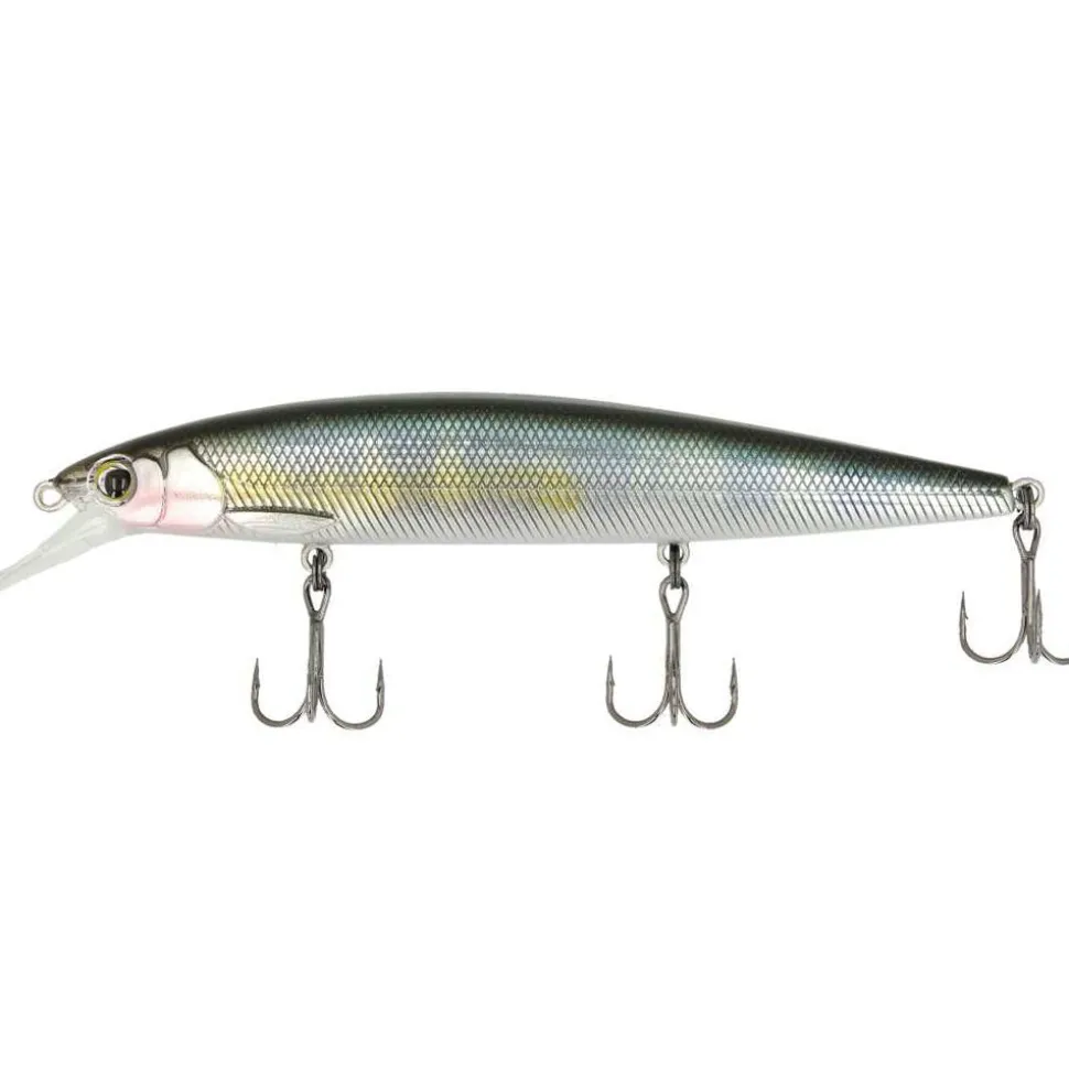 Major Craft Ceana Jerkbait / Shallow