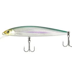 Major Craft Ceana Jerkbait / Shallow